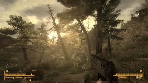 fallout new vegas igg